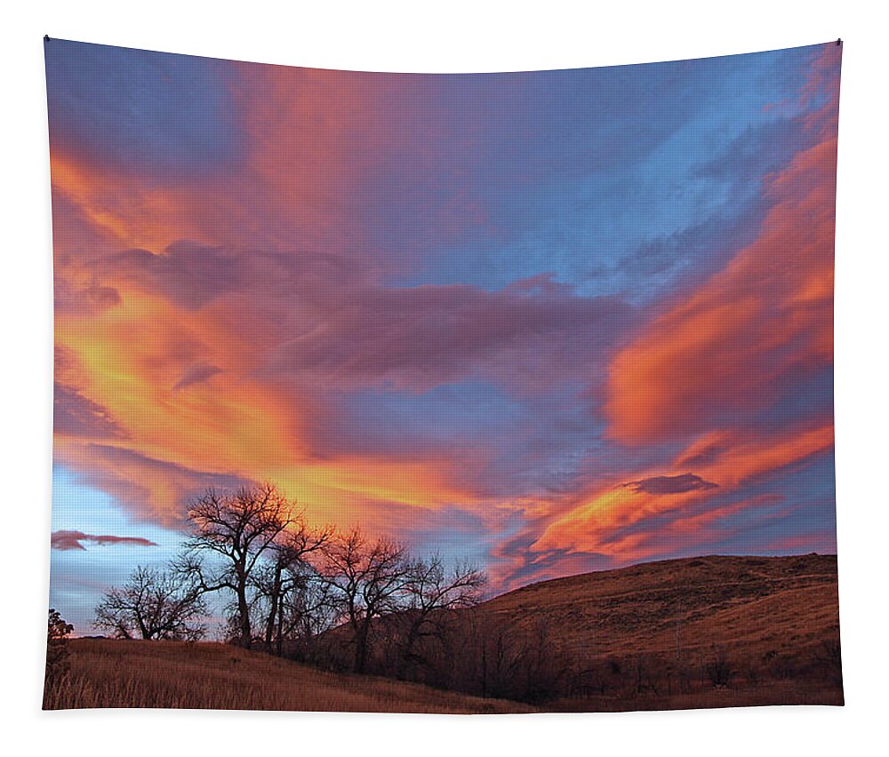 Cottonwood Tree Print Tapestry featuring the photograph Cottonwood Sunset by Jim Garrison