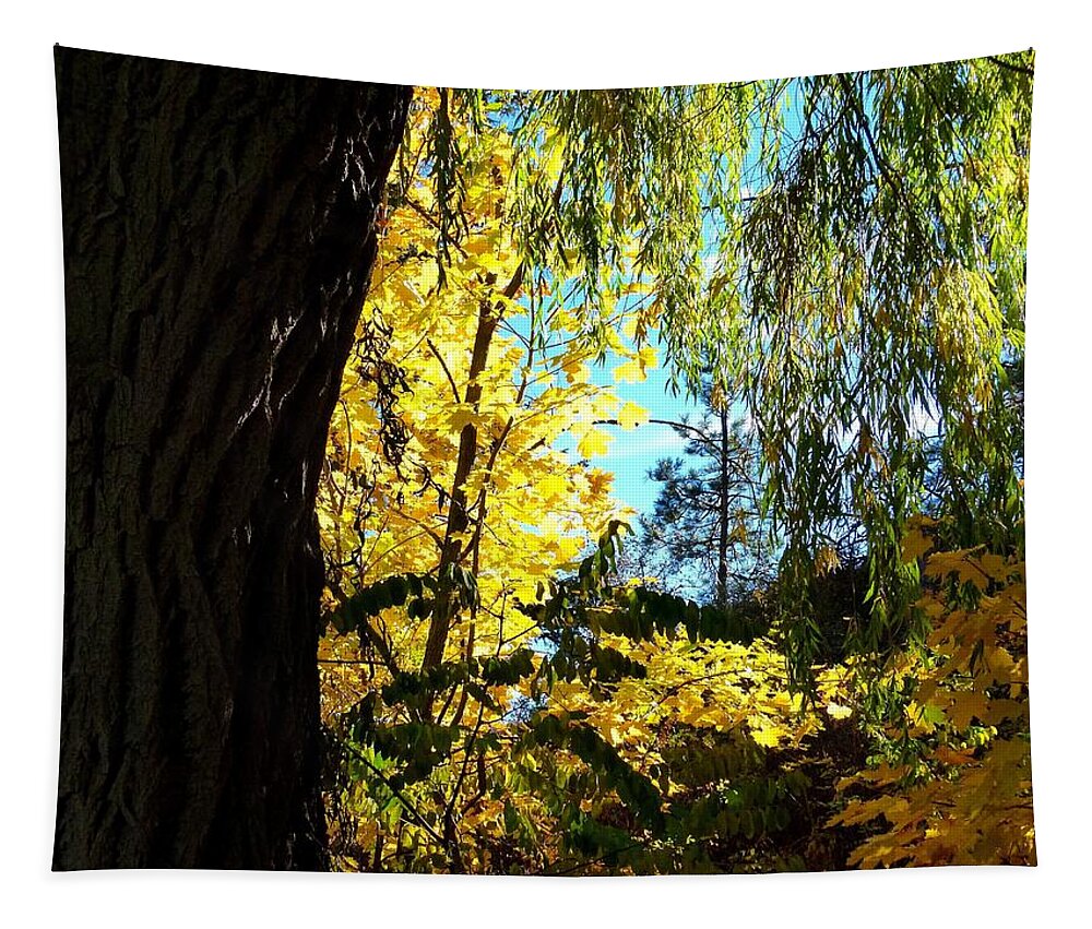 Autumn Tapestry featuring the photograph Country Color 29 by Will Borden