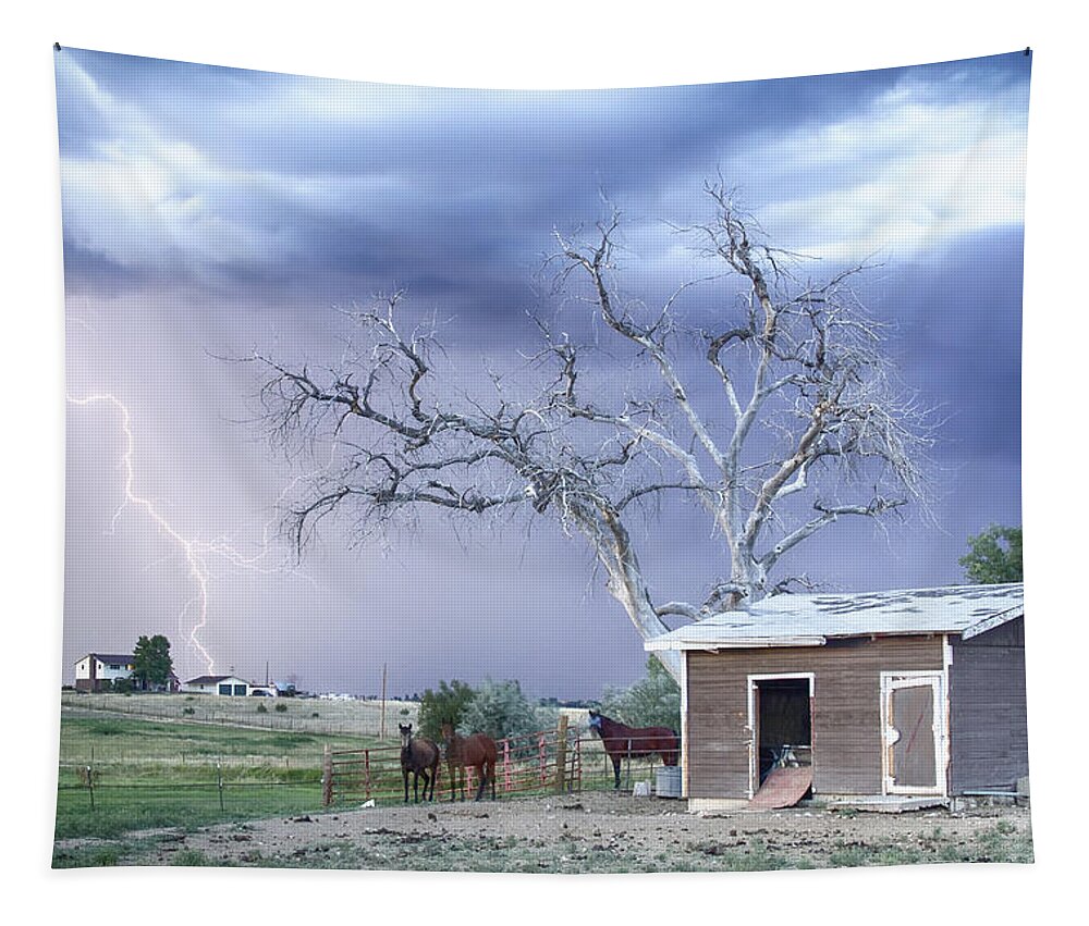 Country Tapestry featuring the photograph Country Horses Lightning Storm CO  by James BO Insogna