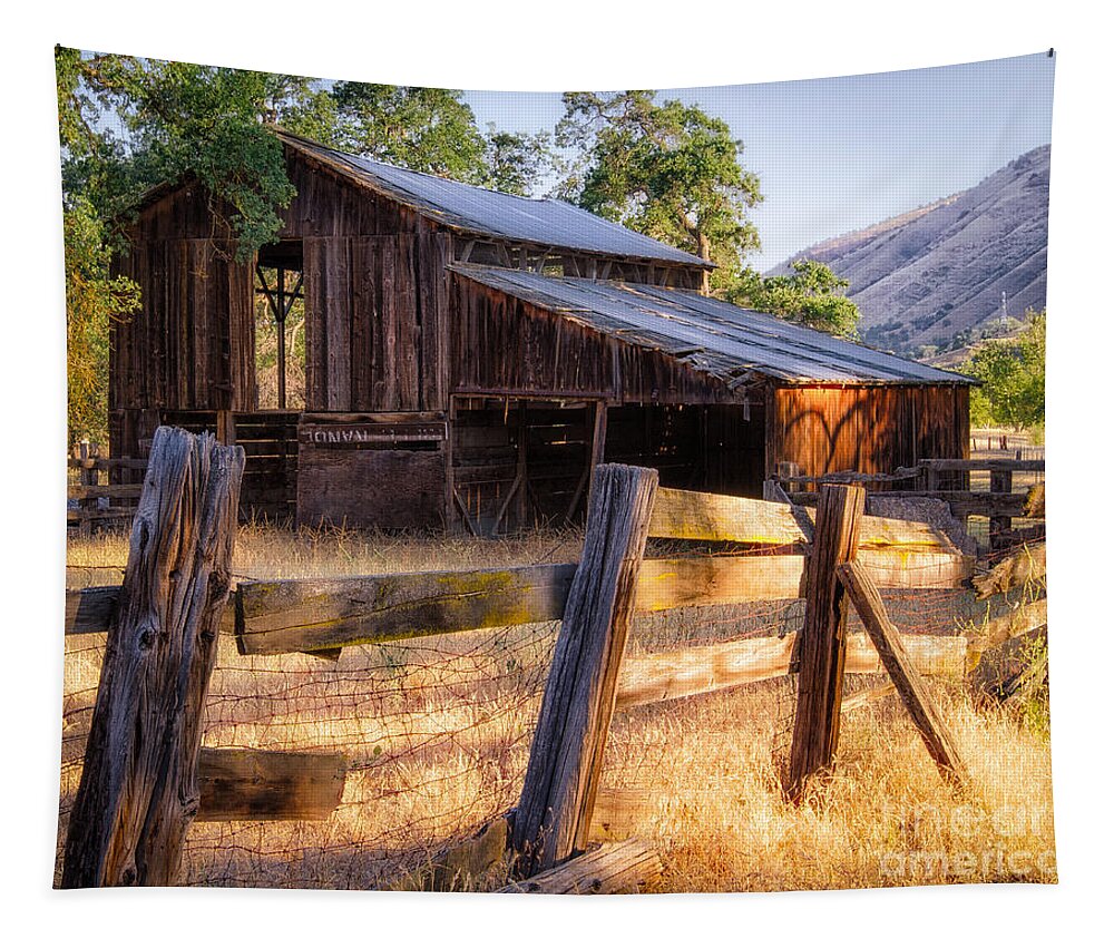 Americano Tapestry featuring the photograph Country in the Foothills by Anthony Michael Bonafede
