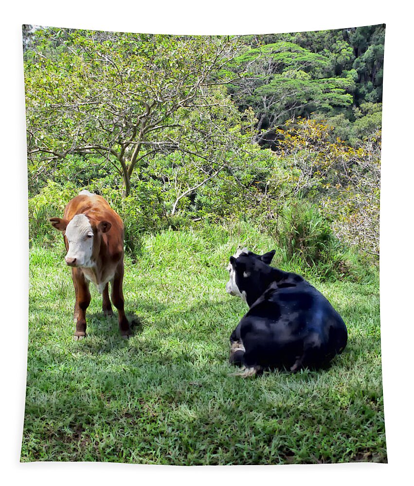 Cattle Tapestry featuring the photograph Cow 4 by Dawn Eshelman