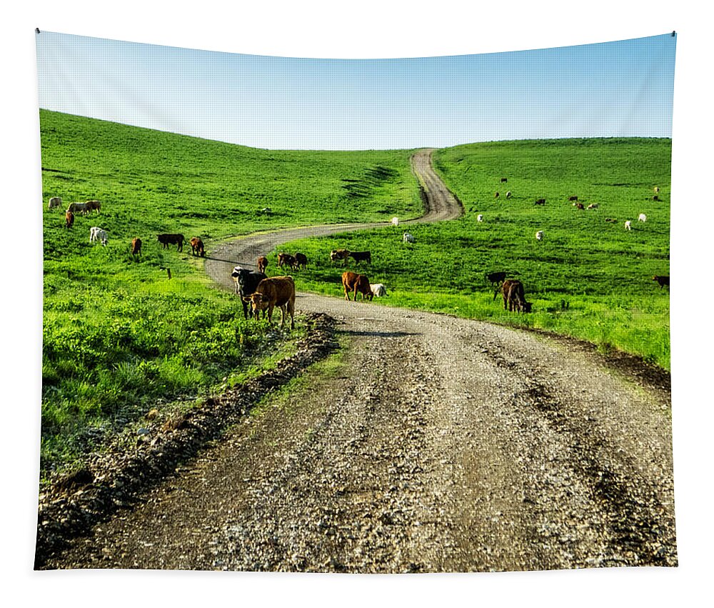 Cow Tapestry featuring the photograph Cows on the Road by Eric Benjamin