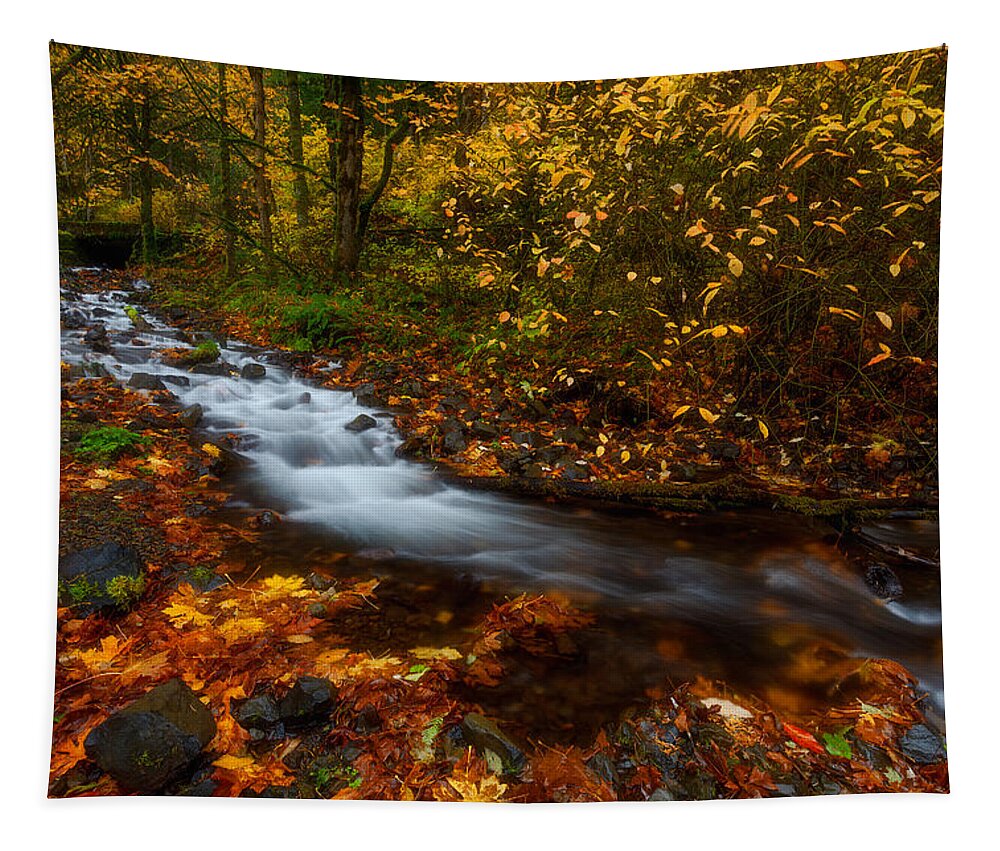 Fall Tapestry featuring the photograph Creekside Colors by Darren White