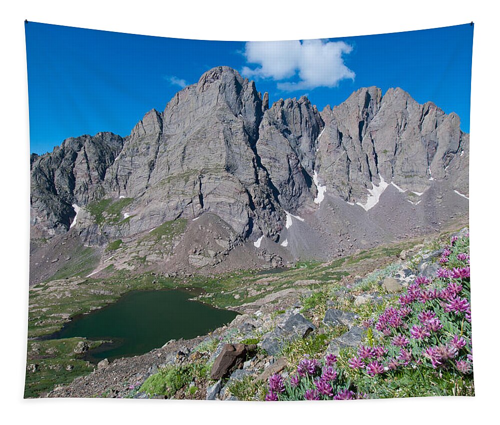 Landscape Tapestry featuring the photograph Crestone Landscape by Cascade Colors