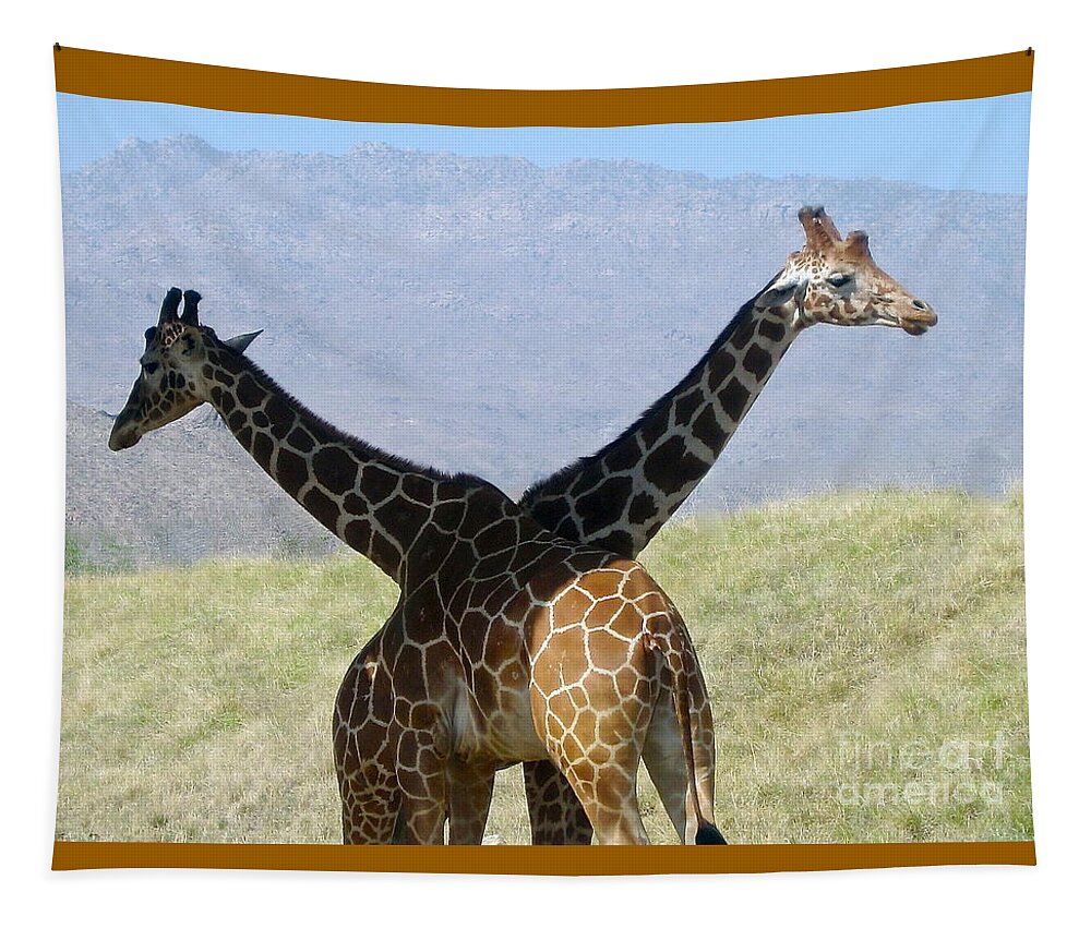 2 Giraffes Tapestry featuring the photograph Crossed Giraffes by Phyllis Kaltenbach