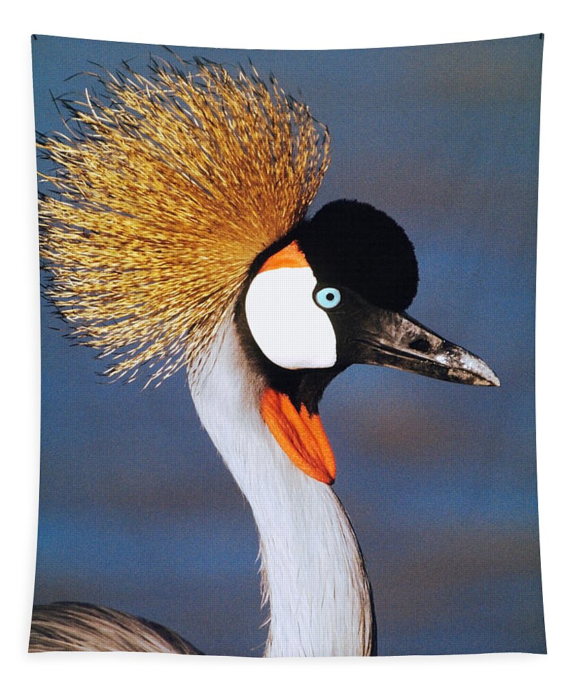 Photography Tapestry featuring the photograph Crowned Crane Tanzania Africa by Panoramic Images