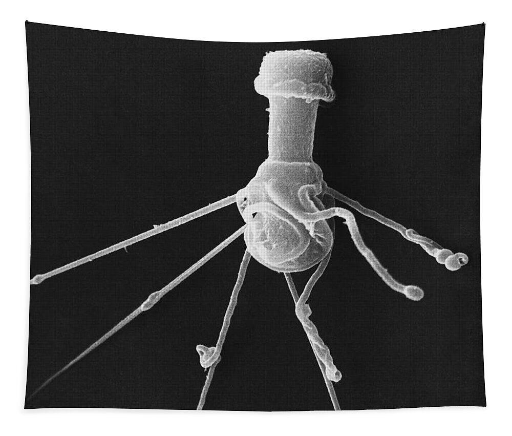Science Tapestry featuring the photograph Crustacean Sperm Sem by David M. Phillips / The Population Council