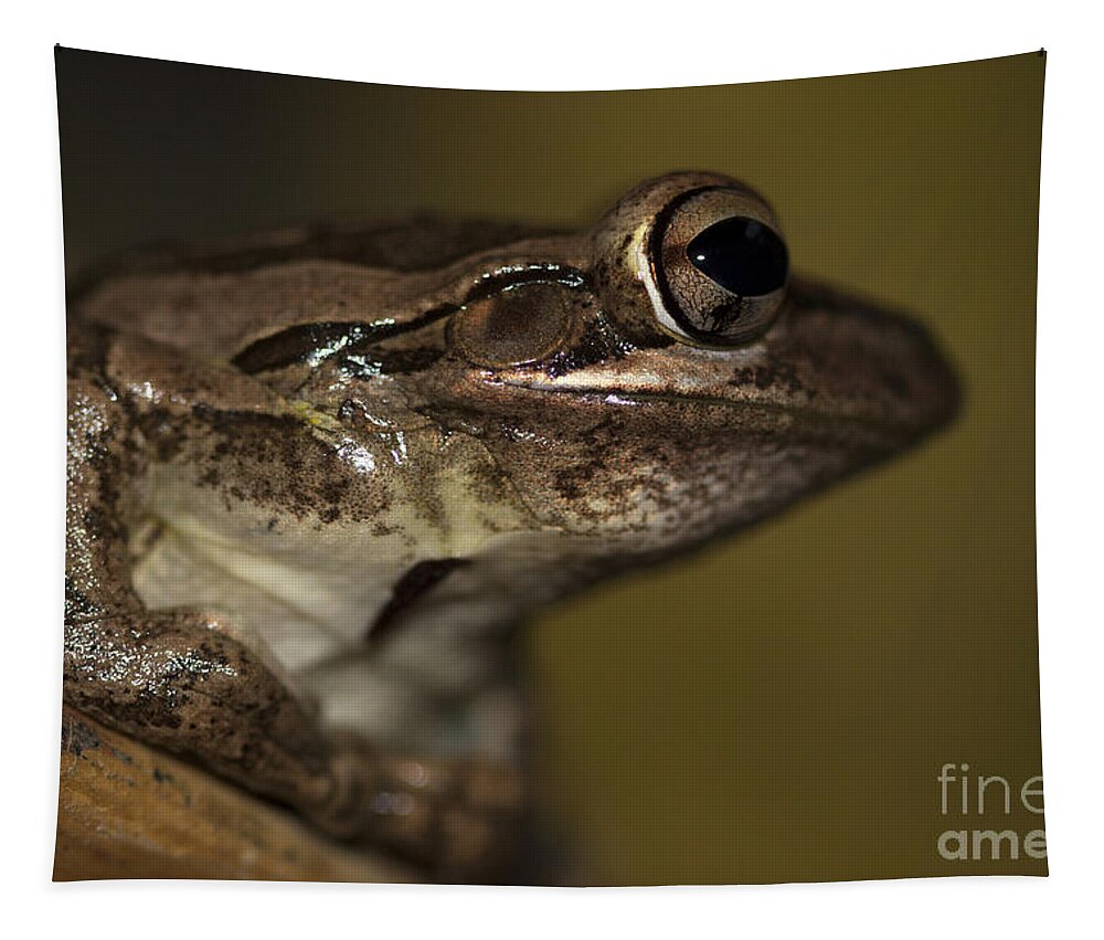Cuban Treefrog Tapestry featuring the photograph Cuban Treefrog by Meg Rousher