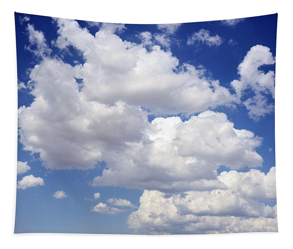 Science Tapestry featuring the photograph Cumulus Cloud by David Donoho