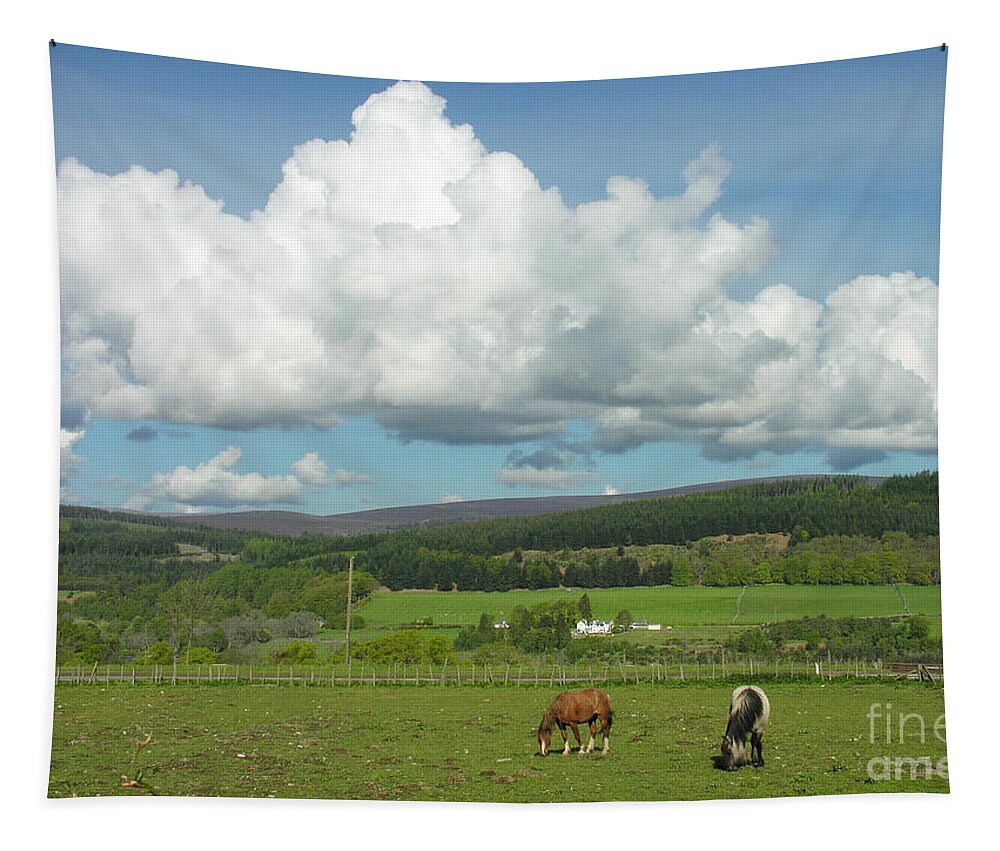 Cumulus Tapestry featuring the photograph Cumulus Clouds in June by Phil Banks