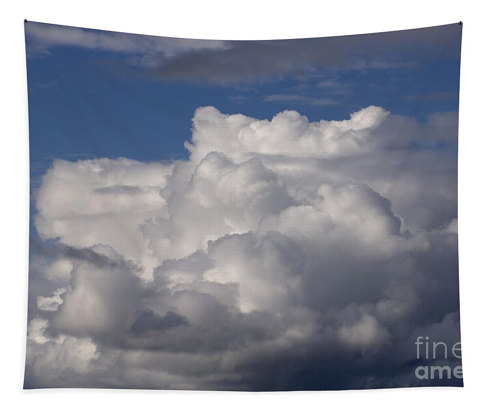 Cloud Tapestry featuring the photograph Cumulus Clouds by Ron Sanford