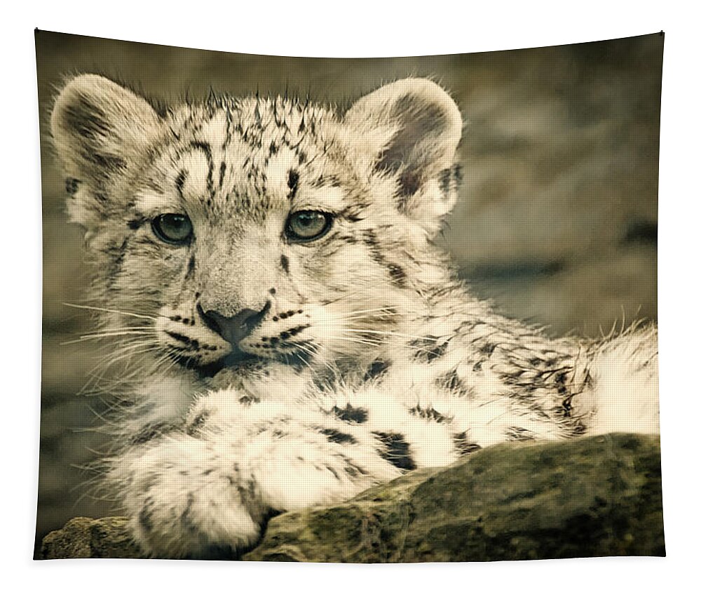 Marwell Tapestry featuring the photograph Cute Snow Cub by Chris Boulton