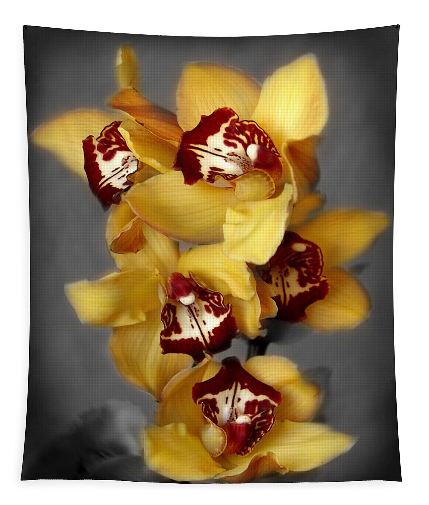 Flowers Tapestry featuring the photograph Cymbidium Orchid Orange I Still Life Flower Art Poster by Lily Malor