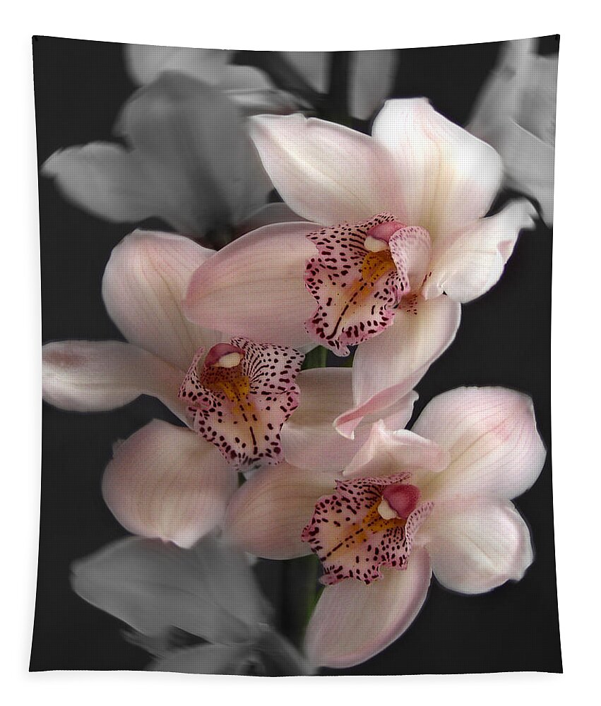 Flowers Tapestry featuring the photograph Cymbidium Orchid Pink II Still Life Flower Art Poster by Lily Malor
