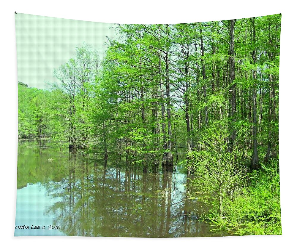 Nature At The Mill Pond Cypress Trees Bass Catfish Water Moccasins And White Tail Deer Tapestry featuring the photograph Bright Green Cypress Trees Reflection by Belinda Lee