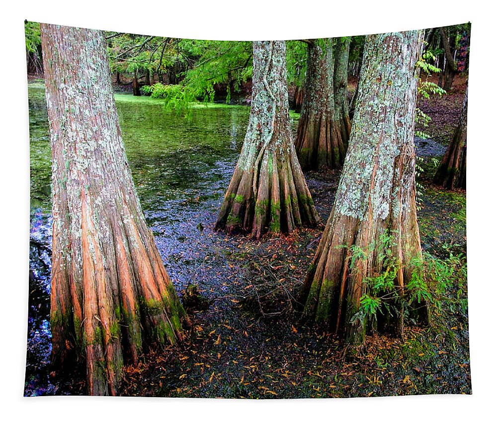 Cypress Trees Tapestry featuring the photograph Cypress Waltz by Karen Wiles