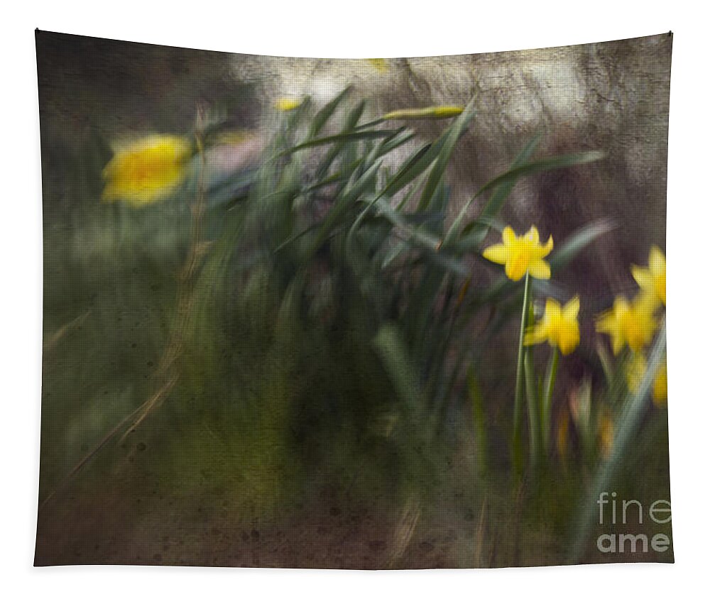  Tapestry featuring the photograph Daffodills by Ang El