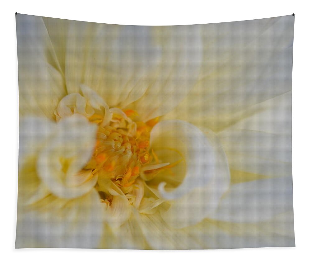 Dahlia Tapestry featuring the photograph Dahlia Centre by Kathy Paynter