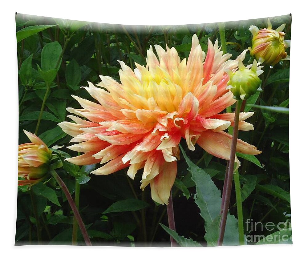 Dahlia Tapestry featuring the photograph Dahlia Sunseekers by Barbie Corbett-Newmin