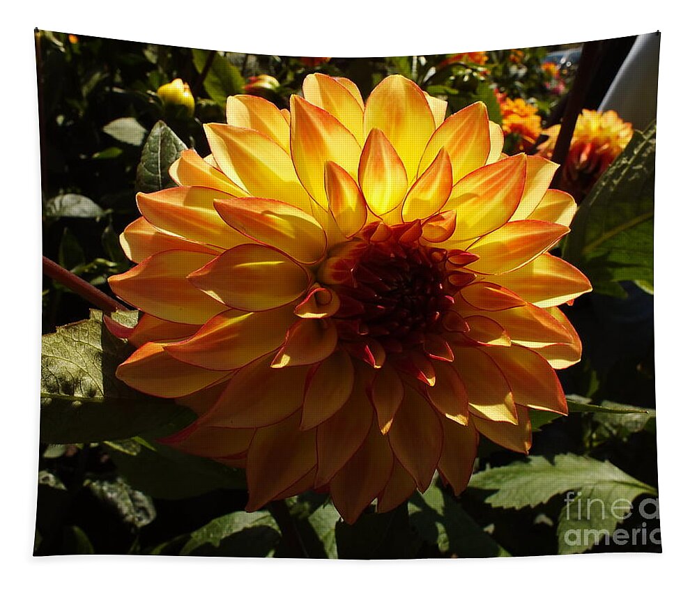 Dahlia Tapestry featuring the photograph Dahlia by Yenni Harrison