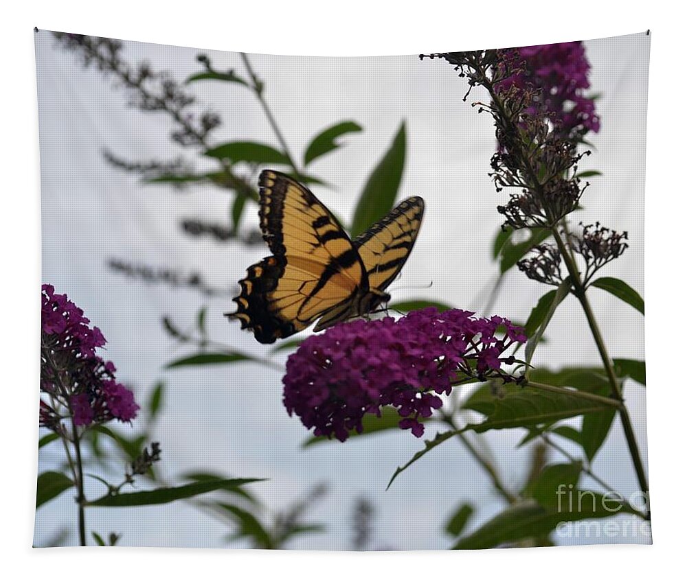 Butterfly Tapestry featuring the photograph Dainty by Judy Wolinsky