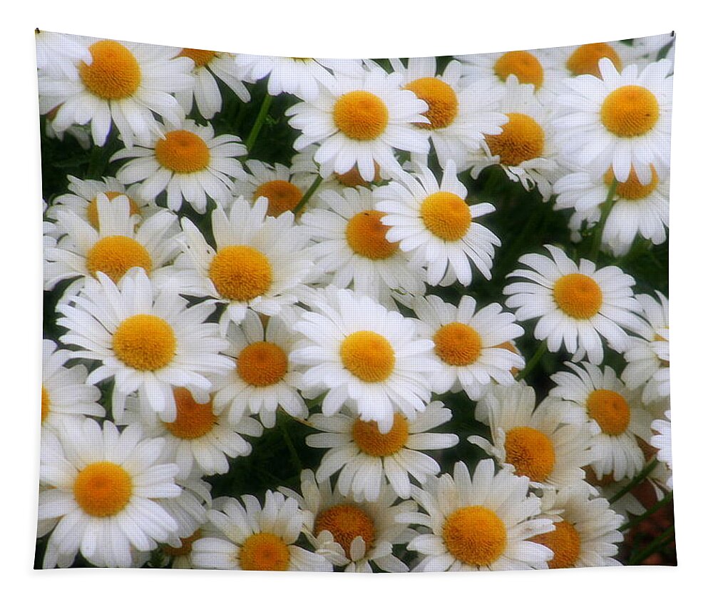 Nature Tapestry featuring the photograph Daisies Daisies by Kay Novy