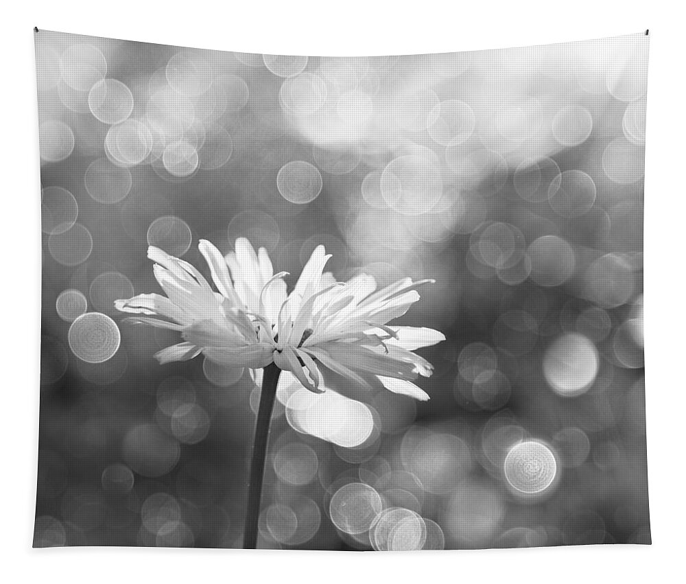 Rain Tapestry featuring the photograph Daisy Rain by Theresa Tahara