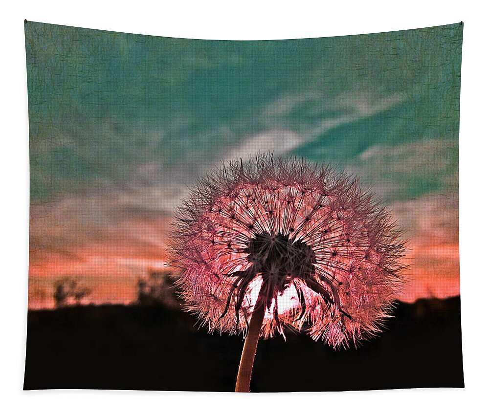 Dandelion Tapestry featuring the photograph Dandelion at Sunset by Marianna Mills
