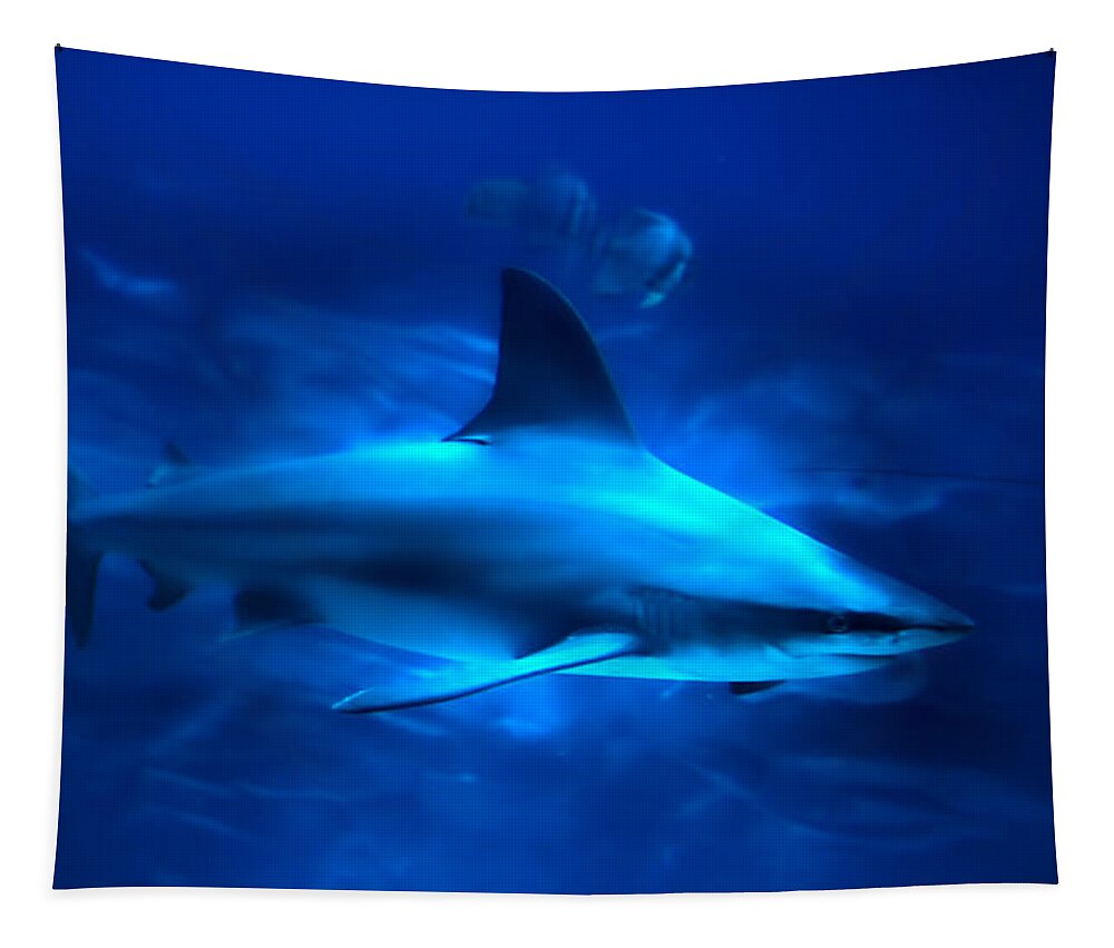 Shark Tapestry featuring the photograph Dangerous Beauty by Mark Andrew Thomas