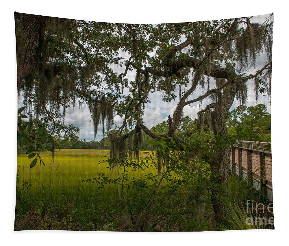 Path Tapestry featuring the photograph Daniel Island Foot Bridge by Dale Powell