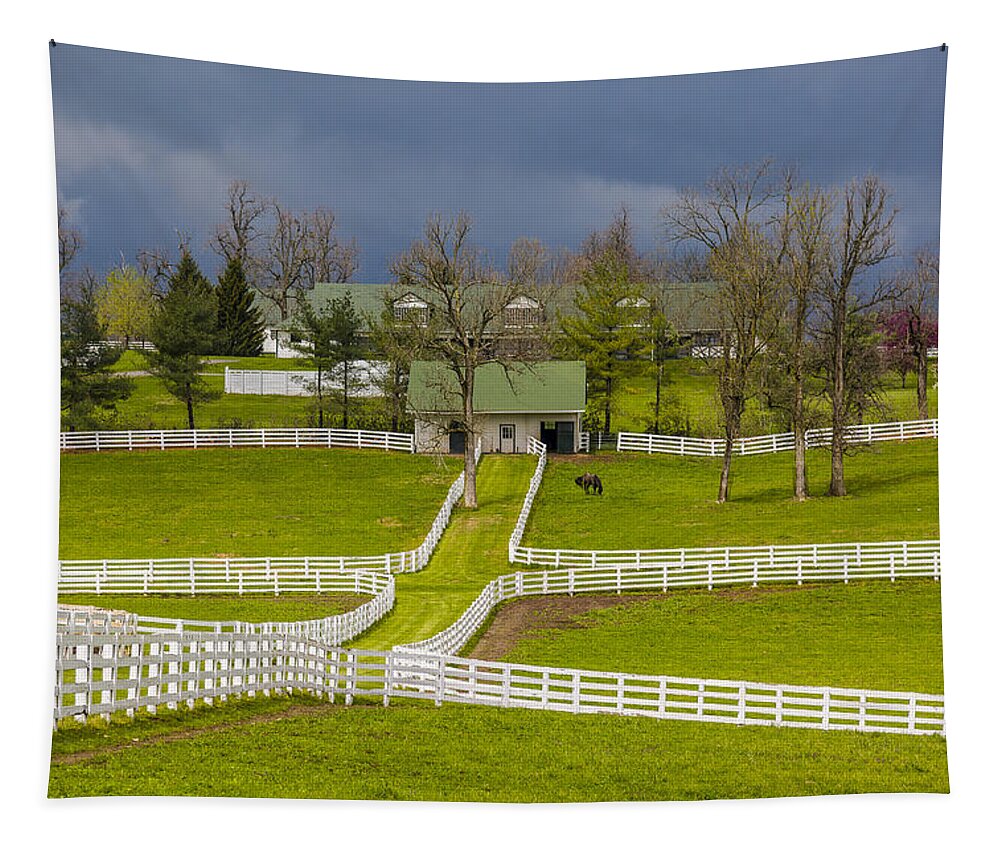 Animal Tapestry featuring the photograph Darby Dan Farm KY by Jack R Perry
