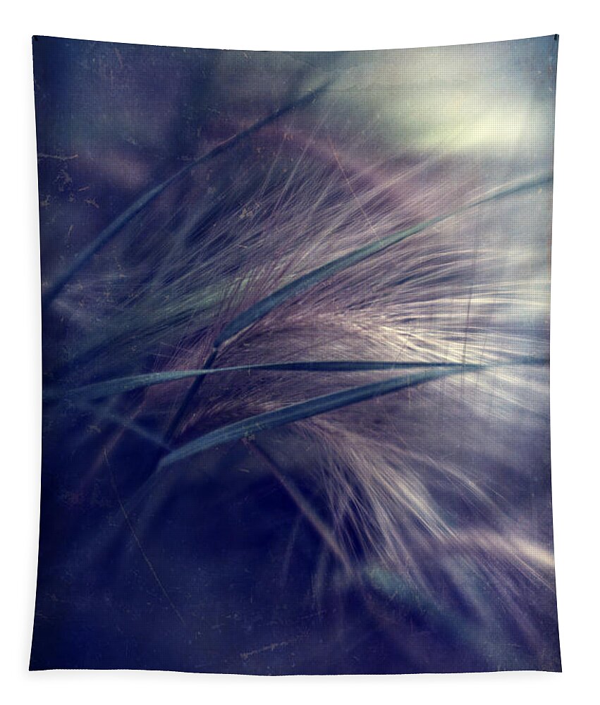 Foxtail Barley Tapestry featuring the photograph darkly series I by Priska Wettstein