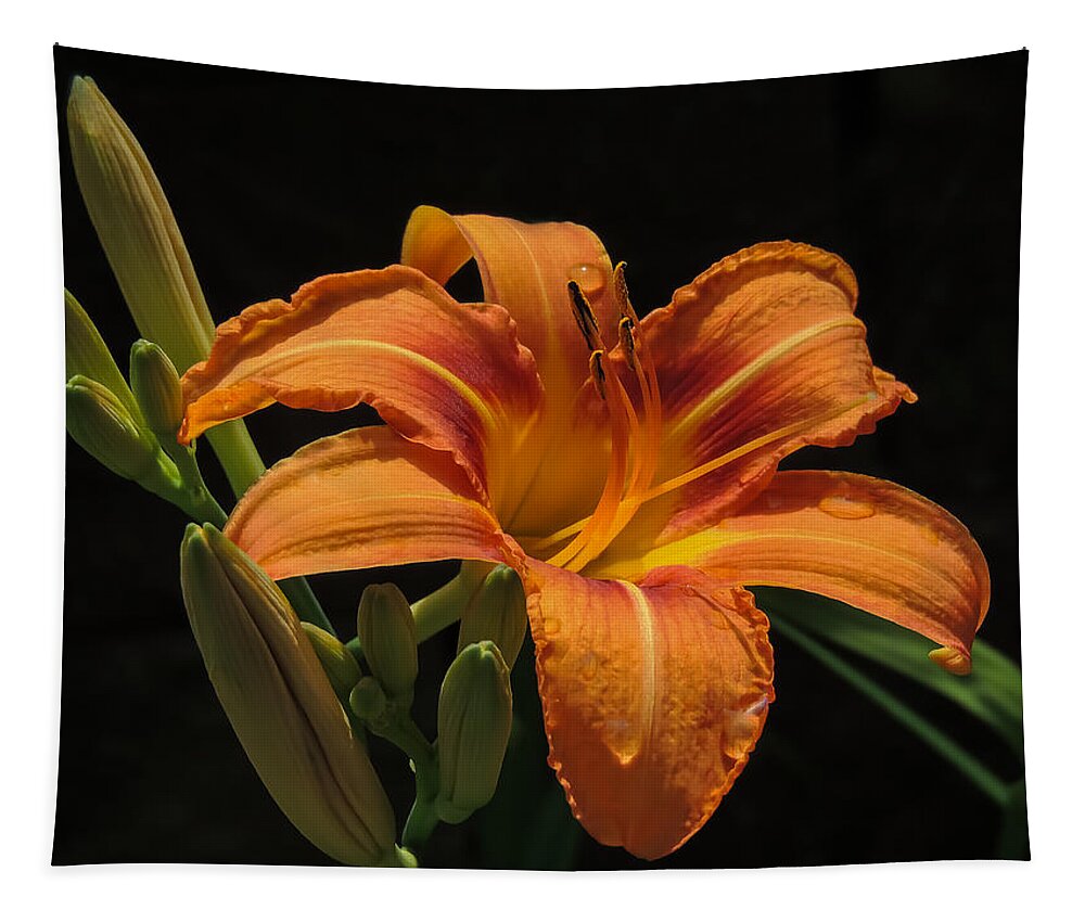 Nature Tapestry featuring the photograph Day Lily by Robert Mitchell