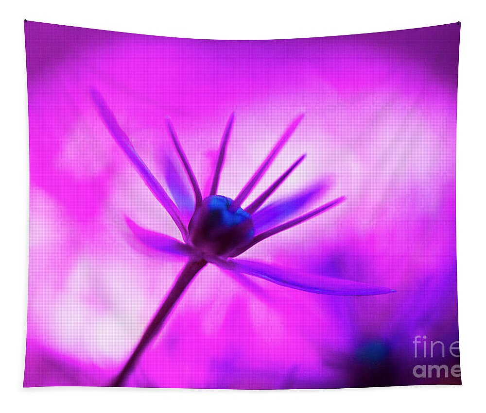 Flower Tapestry featuring the photograph Daydream by Casper Cammeraat