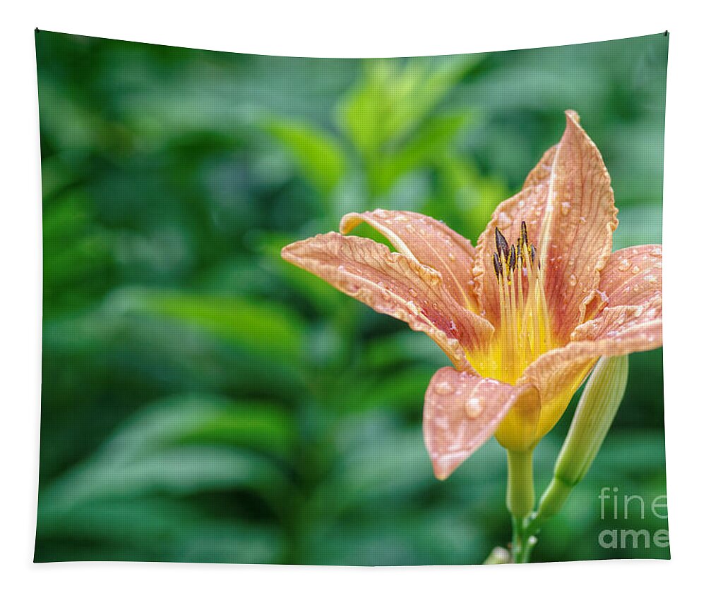 Daylily Tapestry featuring the photograph Daylily flower in the garden by Martin Capek