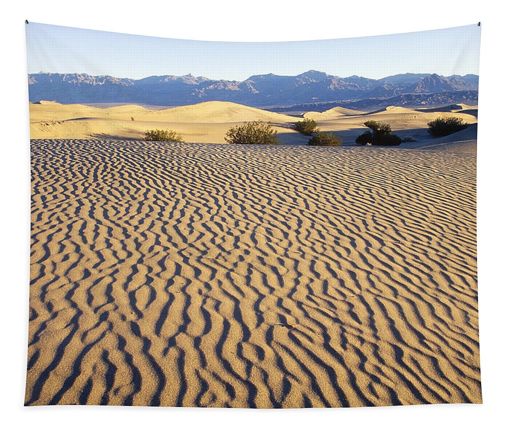 California Tapestry featuring the photograph Death Valley Sand Patterns by Brenda Tharp