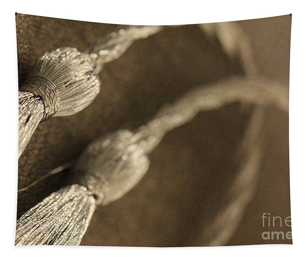  Bind Tapestry featuring the photograph Decorative Tassel by Amanda Mohler