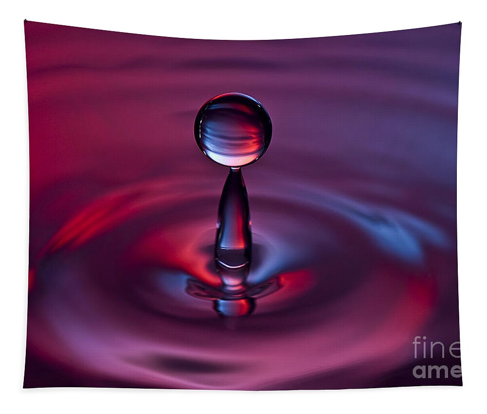 Water Drops Tapestry featuring the photograph Deep Purple by Anthony Sacco