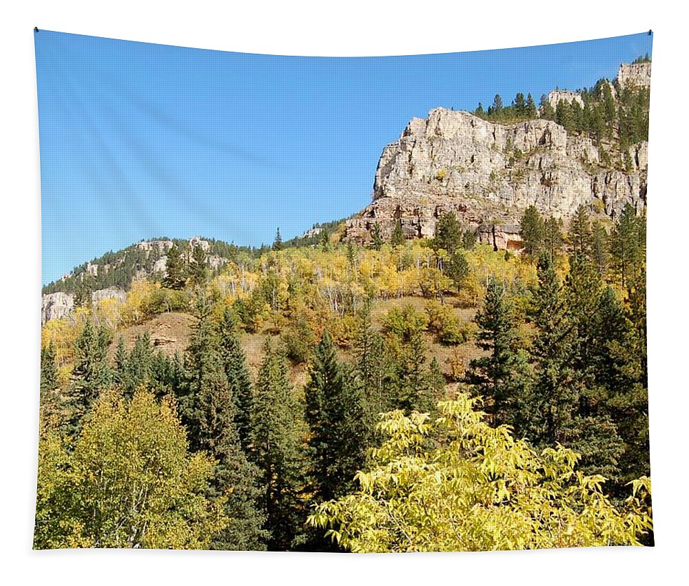 Spearfish Tapestry featuring the photograph Delicate Patchwork by Greni Graph
