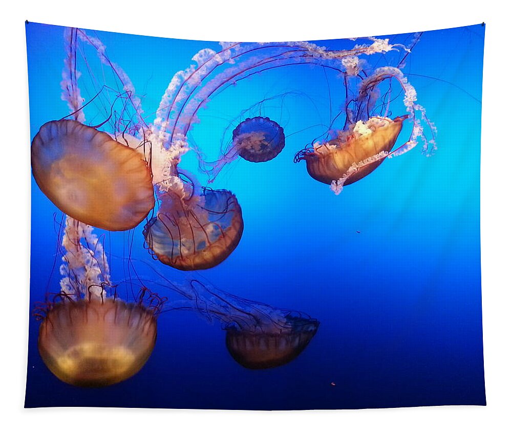 Jellyfish Tapestry featuring the photograph Delicate Waltz by Caryl J Bohn