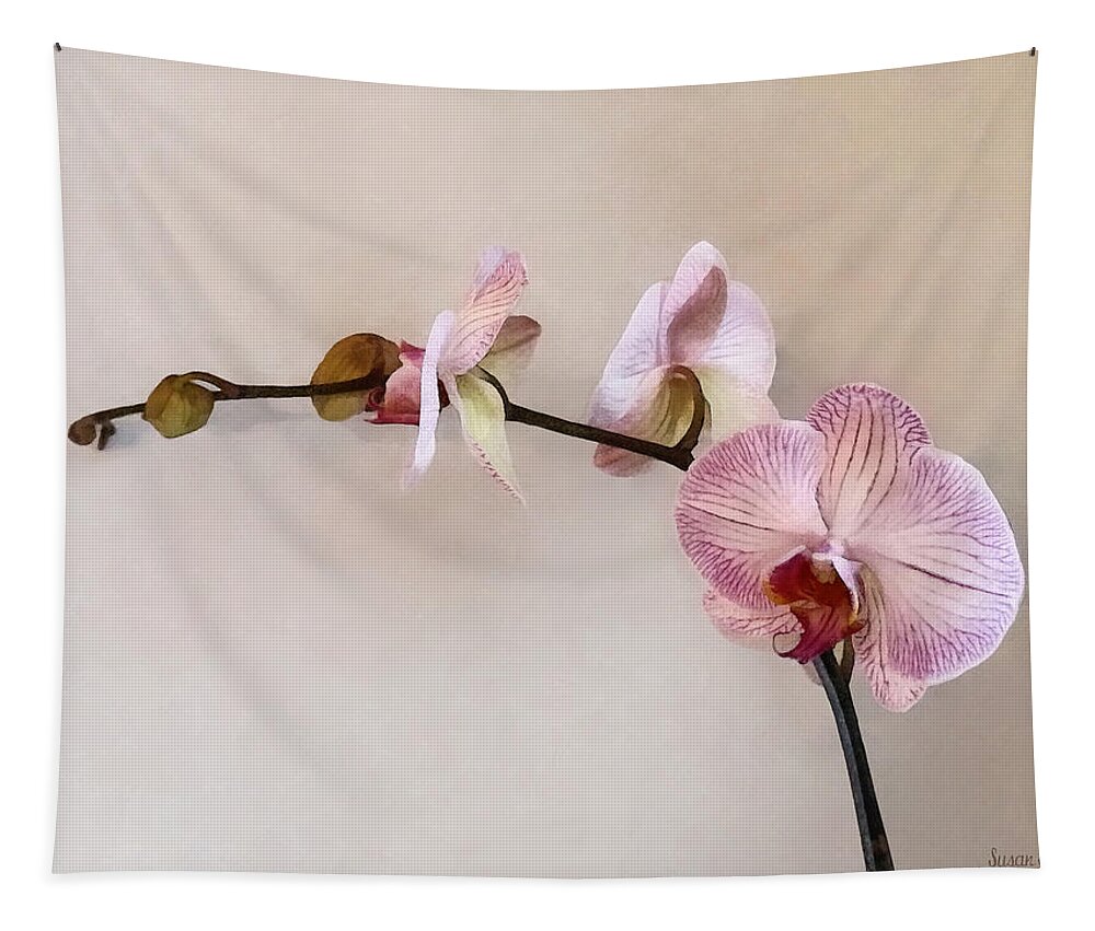 Phalaenopsis Tapestry featuring the photograph Delicate Pink Phalaenopsis Orchids by Susan Savad