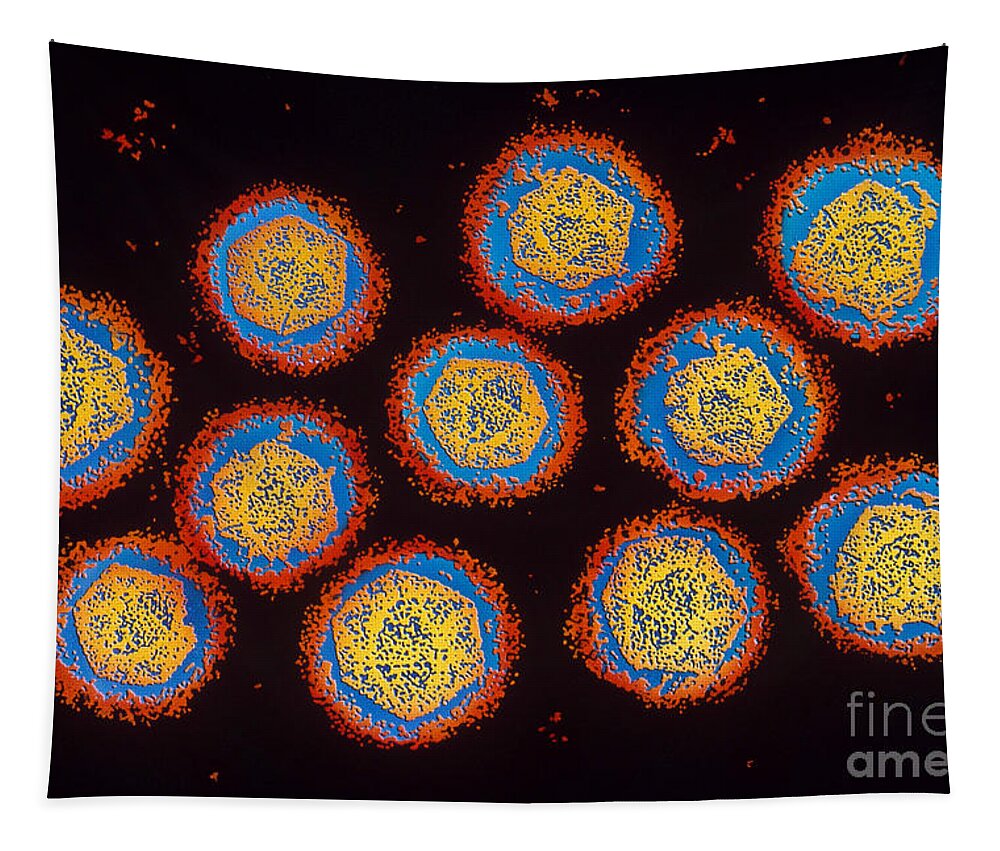 Medical Tapestry featuring the photograph Dengue Virus Tem by Chris Bjornberg