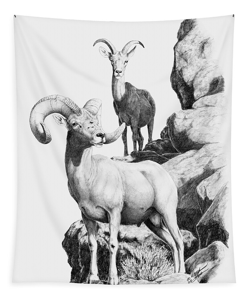 Desert Bighorn Tapestry featuring the drawing Desert Bighorns by Darcy Tate