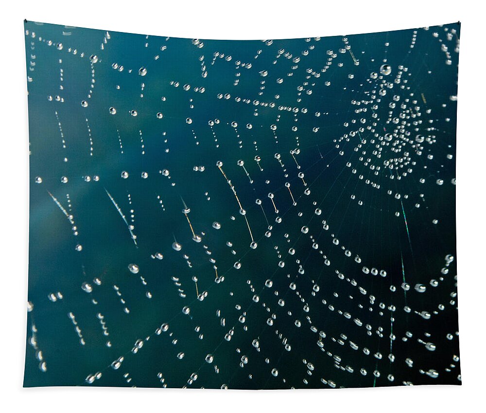 Rain Drops On Spider Web Tapestry featuring the photograph Dew Drops on Web by Tikvah's Hope