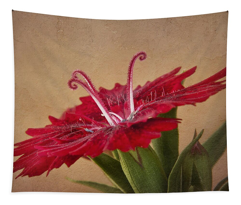 Flower Tapestry featuring the photograph Dianthus by David and Carol Kelly