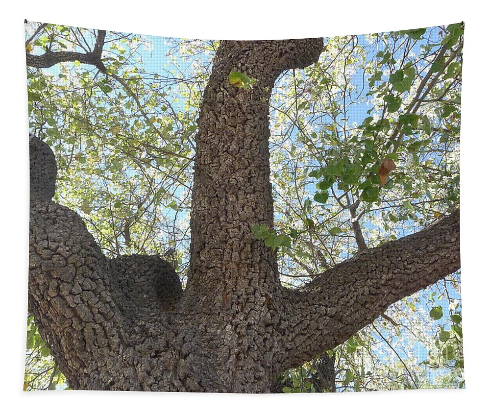 Dino Tapestry featuring the photograph Dino Tree by Nora Boghossian