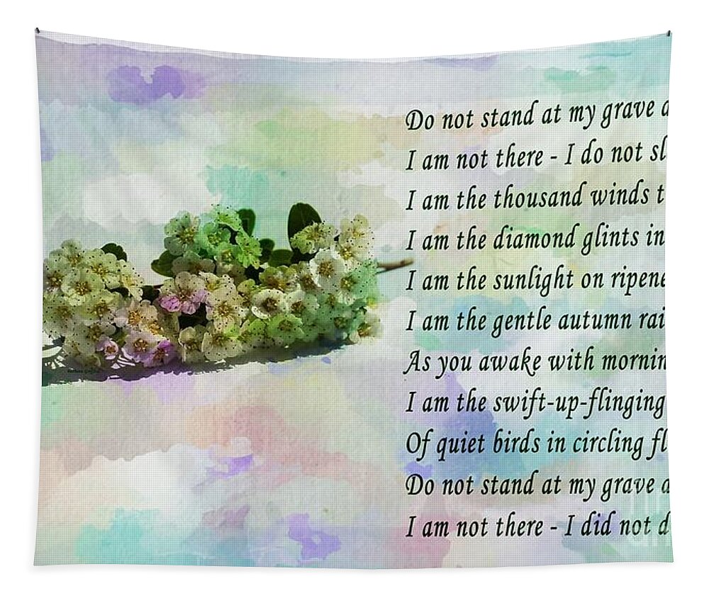 Do Not Stand At My Grave And Weep Tapestry featuring the photograph Do Not Stand at My Grave and Weep by Barbara A Griffin