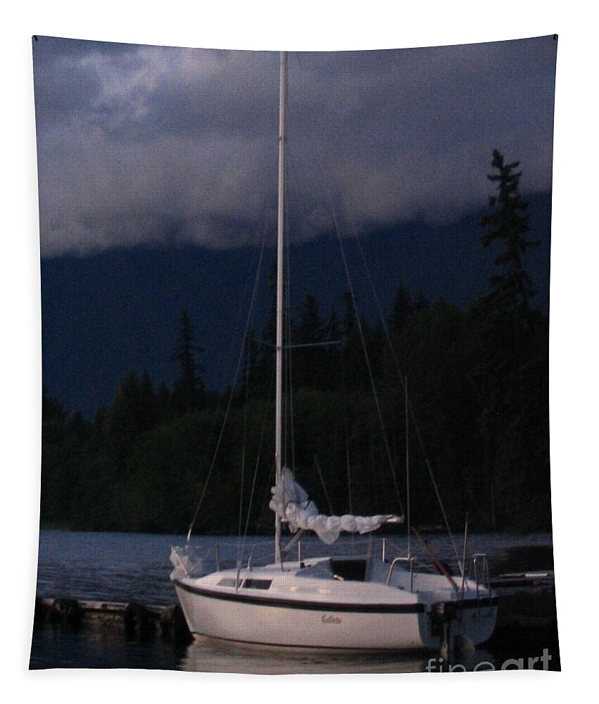 Night Tapestry featuring the photograph Docked For The Night by Vivian Martin