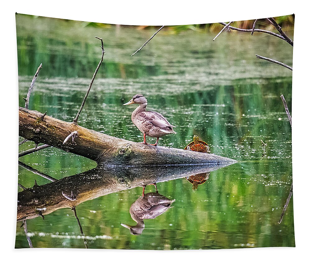 Reflection Tapestry featuring the photograph Does This Make My Tail Look Big by Paul Freidlund