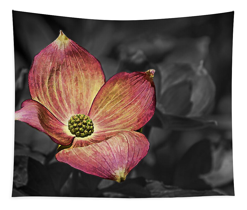 Ron Roberts Tapestry featuring the photograph Dogwood Bloom by Ron Roberts